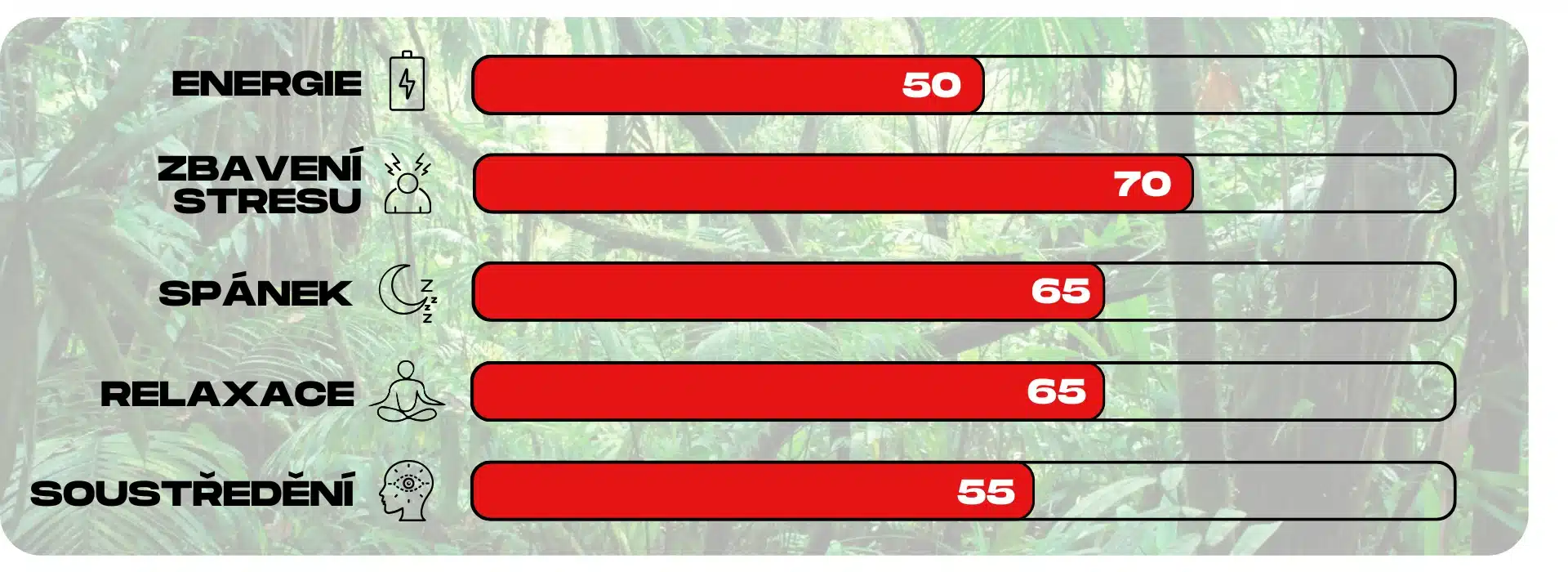 ucinky kratomu red ketapang