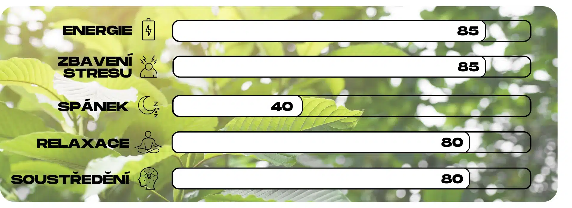 ucinky kratomu white jongkong