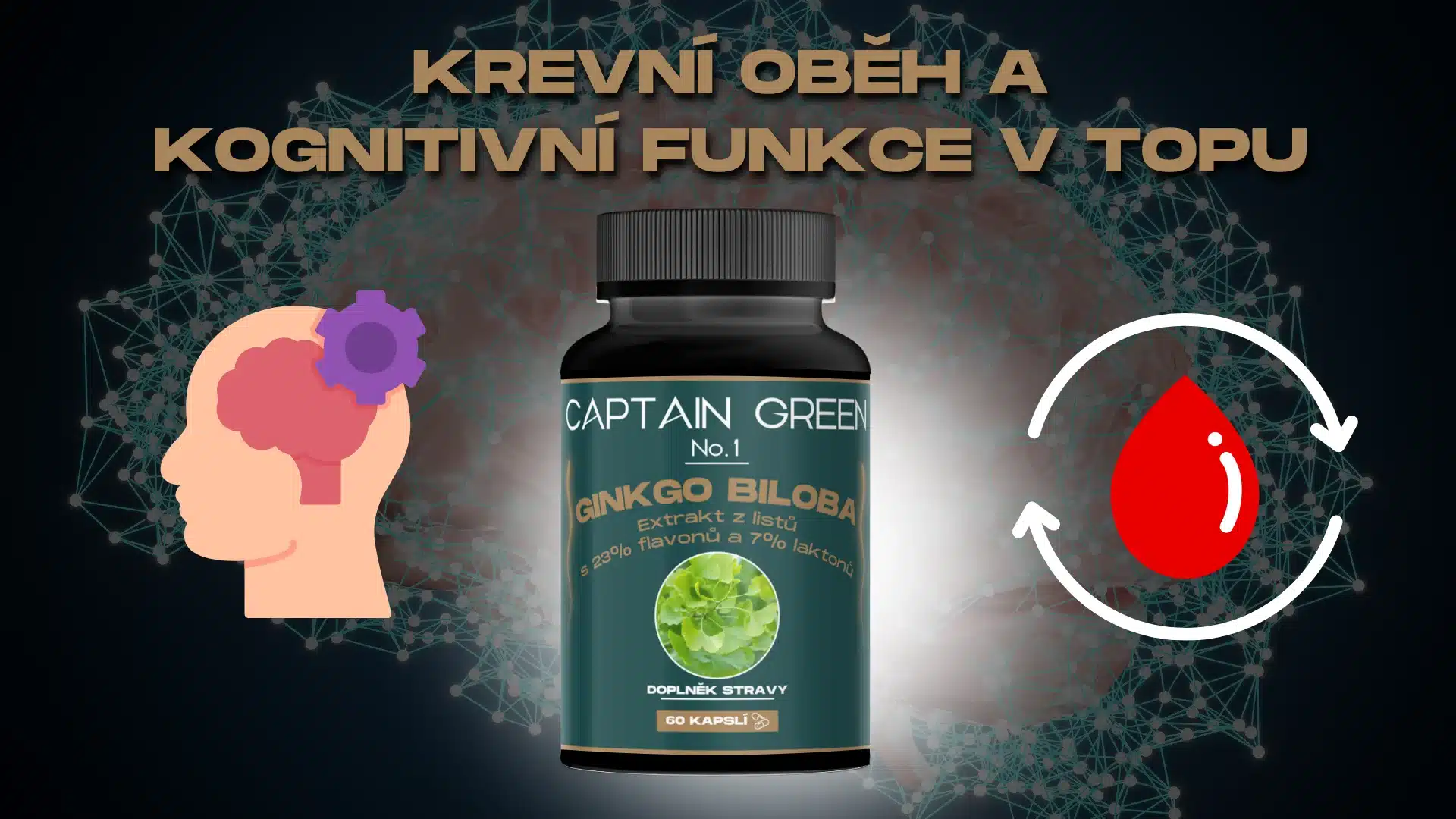 VIP Ginkgo Biloba - Kognitivní Král